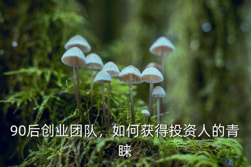 90后創(chuàng)業(yè)團(tuán)隊，如何獲得投資人的青睞