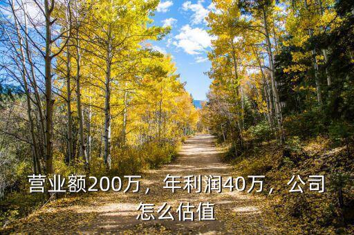 營(yíng)業(yè)額200萬，年利潤(rùn)40萬，公司怎么估值