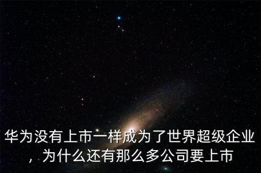 華為沒有上市一樣成為了世界超級企業(yè)，為什么還有那么多公司要上市