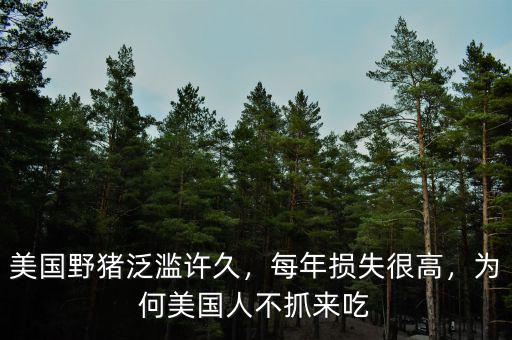 美國野豬泛濫許久，每年損失很高，為何美國人不抓來吃