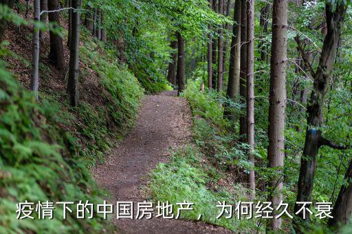 疫情下的中國房地產(chǎn)，為何經(jīng)久不衰
