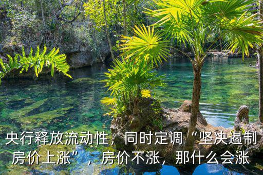 央行釋放流動性，同時定調(diào)“堅決遏制房價上漲”，房價不漲，那什么會漲