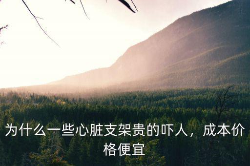 為什么一些心臟支架貴的嚇人，成本價(jià)格便宜