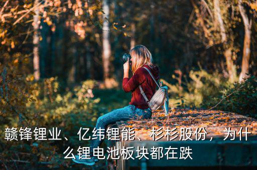 贛鋒鋰業(yè)、億緯鋰能、杉杉股份，為什么鋰電池板塊都在跌