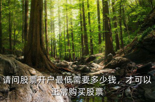 請問股票開戶最低需要多少錢，才可以正常購買股票