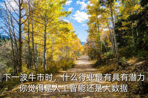 下一波牛市時，什么行業(yè)最有具有潛力你覺得是人工智能還是大數(shù)據(jù)