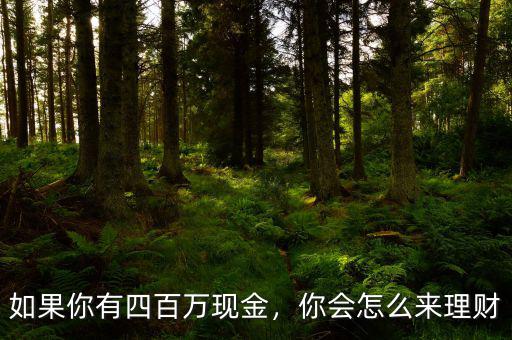 如果你有四百萬現(xiàn)金，你會怎么來理財