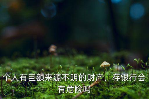個人有巨額來源不明的財產(chǎn)，存銀行會有危險嗎