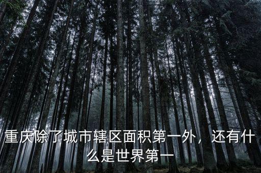 重慶除了城市轄區(qū)面積第一外，還有什么是世界第一