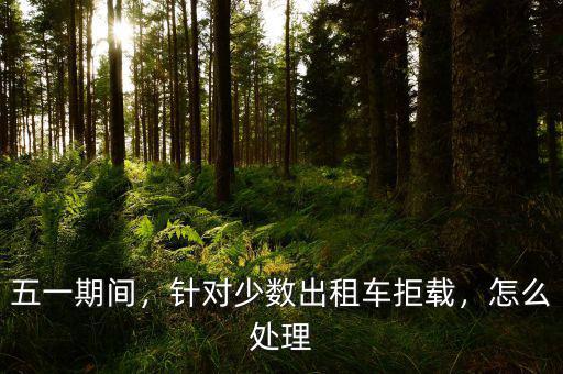五一期間，針對(duì)少數(shù)出租車拒載，怎么處理