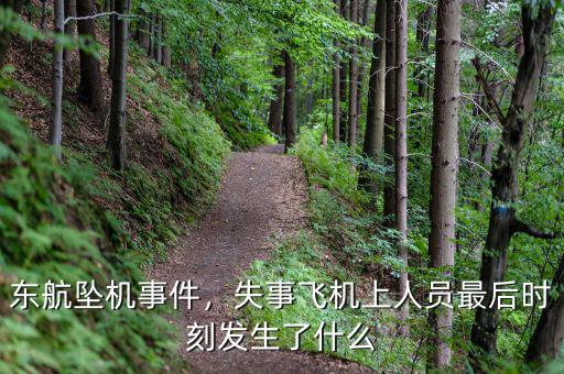 東航墜機(jī)事件，失事飛機(jī)上人員最后時刻發(fā)生了什么