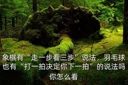 象棋有“走一步看三步”說(shuō)法，羽毛球也有“打一拍決定你下一拍”的說(shuō)法嗎你怎么看