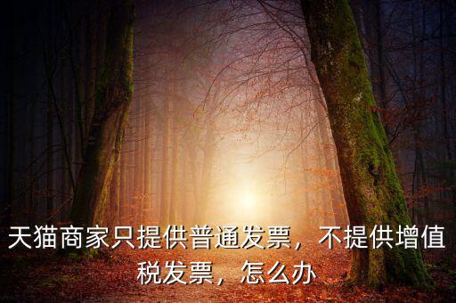 天貓商家只提供普通發(fā)票，不提供增值稅發(fā)票，怎么辦