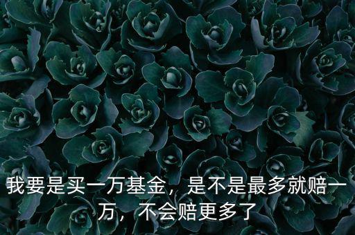 我要是買一萬基金，是不是最多就賠一萬，不會賠更多了