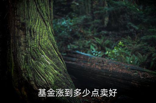 基金漲到多少點(diǎn)賣(mài)好