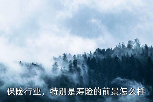 保險行業(yè)，特別是壽險的前景怎么樣