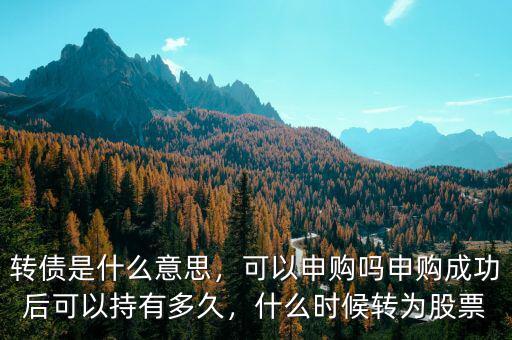 市場內部轉換是什么意思,轉債是什么意思