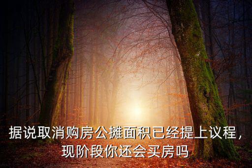 據(jù)說取消購房公攤面積已經(jīng)提上議程，現(xiàn)階段你還會(huì)買房嗎