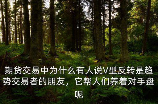 期貨交易中為什么有人說V型反轉(zhuǎn)是趨勢交易者的朋友，它幫人們養(yǎng)著對手盤呢