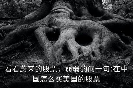 看看蔚來的股票，弱弱的問一句:在中國怎么買美國的股票