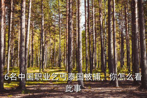 6名中國(guó)職業(yè)乞丐泰國(guó)被捕，你怎么看此事