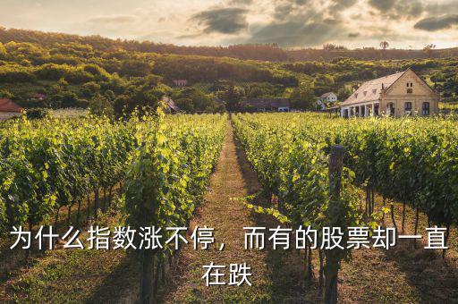 為什么指數(shù)漲不停，而有的股票卻一直在跌