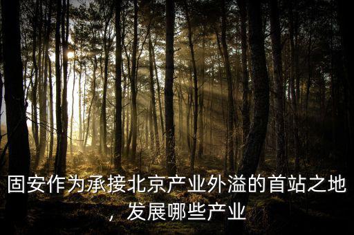 固安作為承接北京產(chǎn)業(yè)外溢的首站之地，發(fā)展哪些產(chǎn)業(yè)