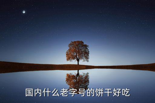 什么老字號(hào),國內(nèi)什么老字號(hào)的餅干好吃