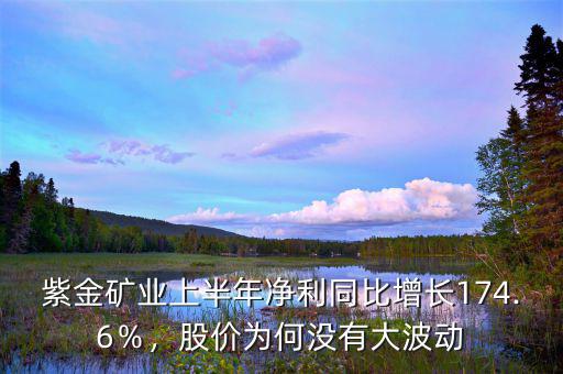 紫金礦業(yè)上半年凈利同比增長(zhǎng)174.6％，股價(jià)為何沒有大波動(dòng)