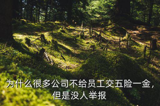 為什么很多公司不給員工交五險(xiǎn)一金，但是沒人舉報(bào)