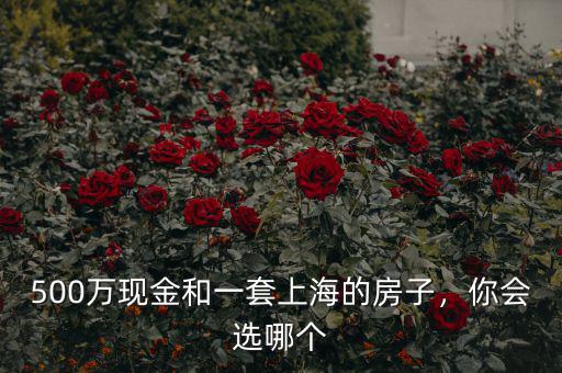 500萬現(xiàn)金和一套上海的房子，你會選哪個