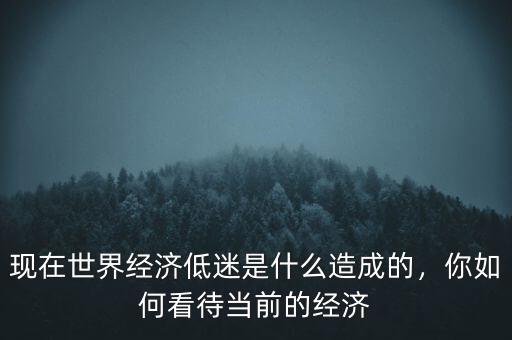 現(xiàn)在世界經(jīng)濟低迷是什么造成的，你如何看待當前的經(jīng)濟