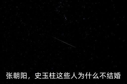 張朝陽，史玉柱這些人為什么不結(jié)婚