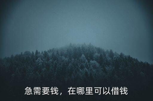 急需要錢，在哪里可以借錢