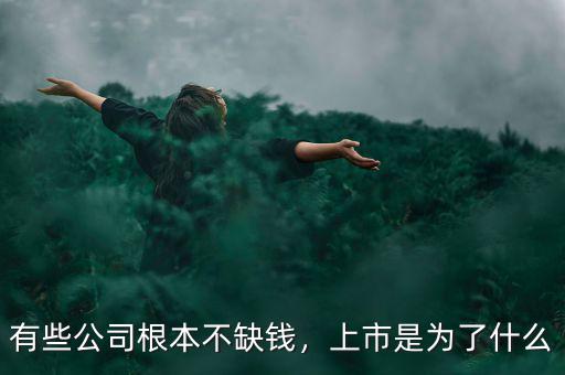 有些公司根本不缺錢，上市是為了什么