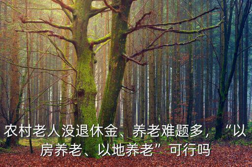農(nóng)村老人沒退休金、養(yǎng)老難題多，“以房養(yǎng)老、以地養(yǎng)老”可行嗎