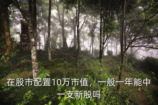 在股市配置10萬市值，一般一年能中一支新股嗎