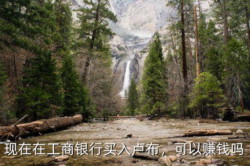 現(xiàn)在在工商銀行買入盧布，可以賺錢嗎