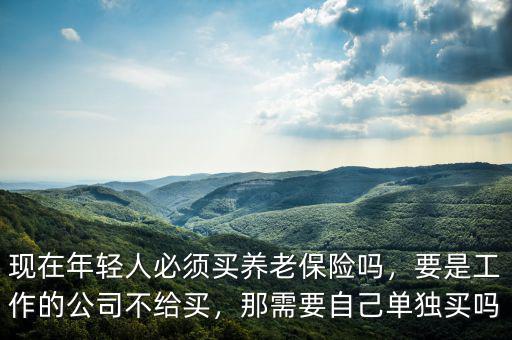 現(xiàn)在年輕人必須買養(yǎng)老保險嗎，要是工作的公司不給買，那需要自己單獨(dú)買嗎