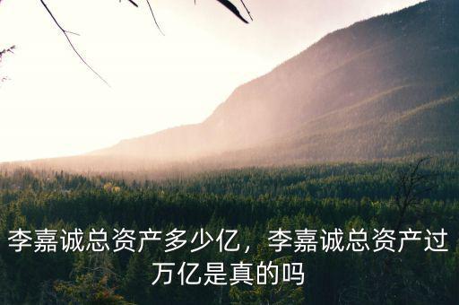 李嘉誠總資產(chǎn)多少億，李嘉誠總資產(chǎn)過萬億是真的嗎