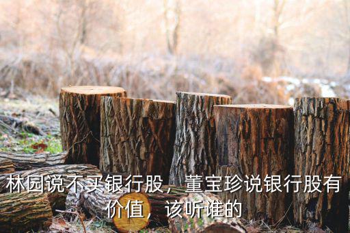 林園說(shuō)不買(mǎi)銀行股，董寶珍說(shuō)銀行股有價(jià)值，該聽(tīng)誰(shuí)的