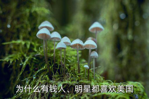 為什么有錢人、明星都喜歡美國