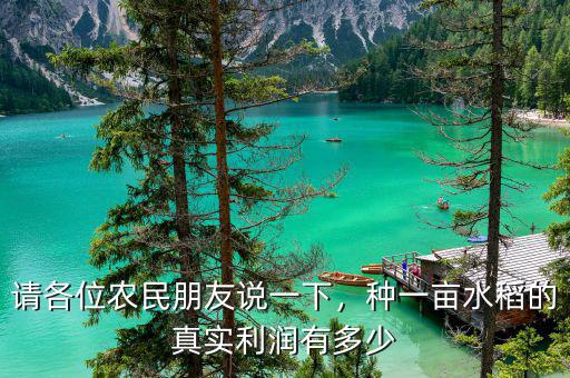 請(qǐng)各位農(nóng)民朋友說(shuō)一下，種一畝水稻的真實(shí)利潤(rùn)有多少