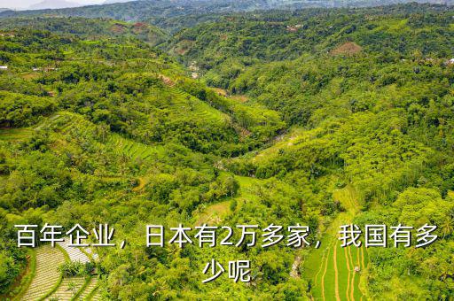 百年企業(yè)，日本有2萬(wàn)多家，我國(guó)有多少呢