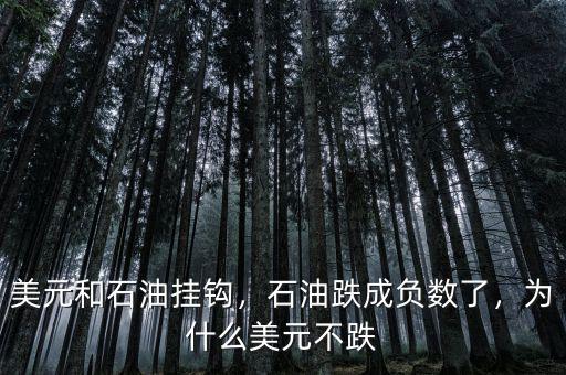 美元和石油掛鉤，石油跌成負(fù)數(shù)了，為什么美元不跌