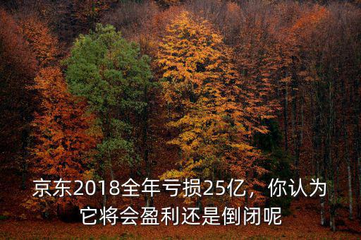 京東2018全年虧損25億，你認(rèn)為它將會(huì)盈利還是倒閉呢