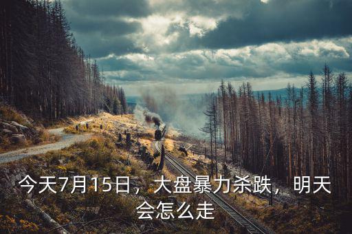 今天7月15日，大盤暴力殺跌，明天會怎么走