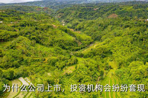 為什么公司上市，投資機(jī)構(gòu)會(huì)紛紛套現(xiàn)