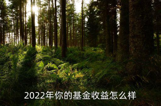 基金160634怎么樣,現在買指數基金怎么樣