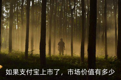 如果支付寶上市了，市場(chǎng)價(jià)值有多少